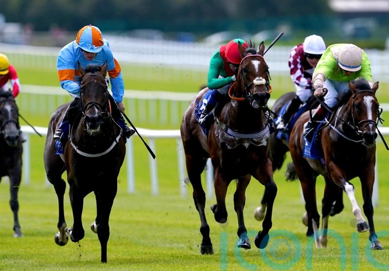 Breeders&rsquo; Cup ambition for Mansa Musa