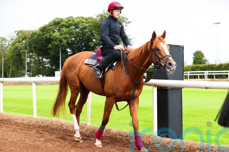 Kyprios on comeback trail in Irish Leger