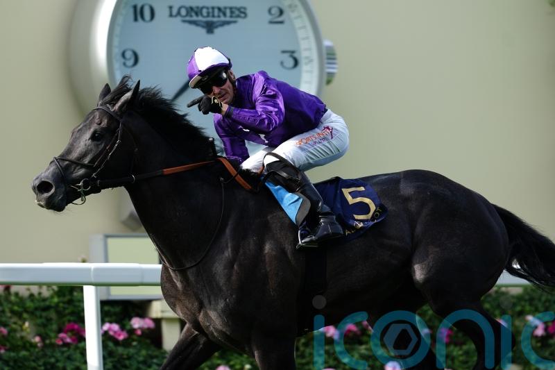 Varian &lsquo;delighted&rsquo; with Irish Champion hope King Of Steel