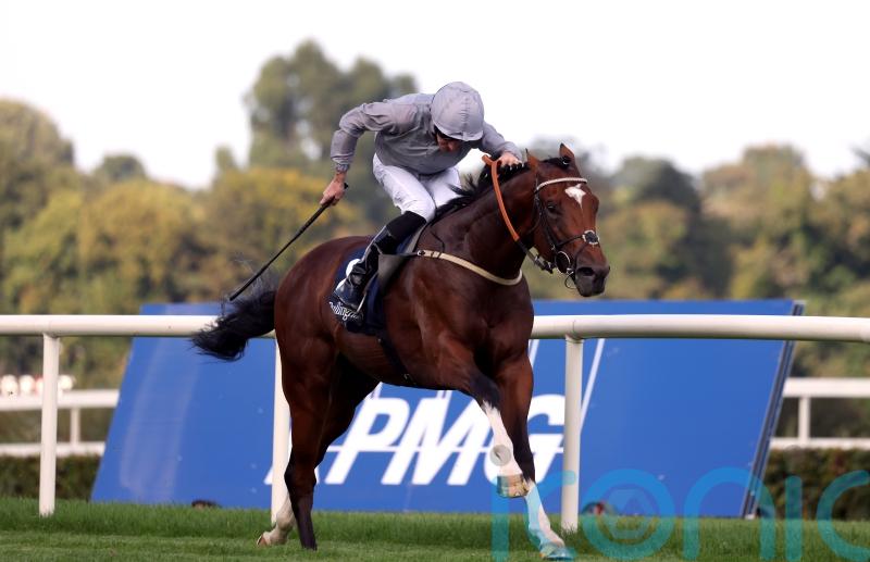 Flight Plan is smooth sailing for Tudhope at Leopardstown