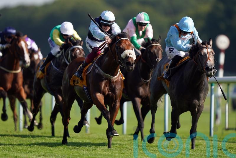 Swift return to action being considered for Shouldvebeenaring