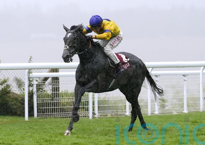 Sumo Sam primed for Doncaster action in Park Hill Stakes