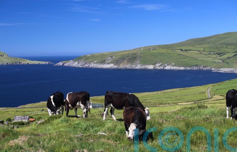 Minister not overruled by Taoiseach on EU nitrates issue, colleague insists