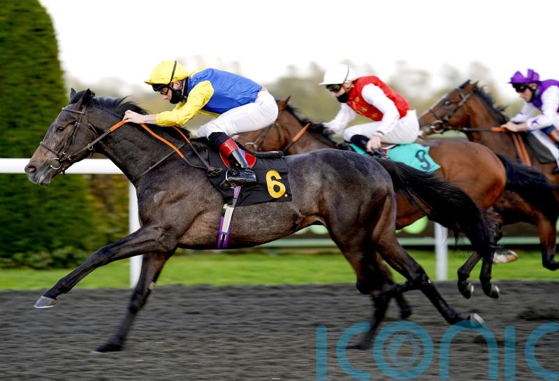 Popmaster has all the answers at Newbury