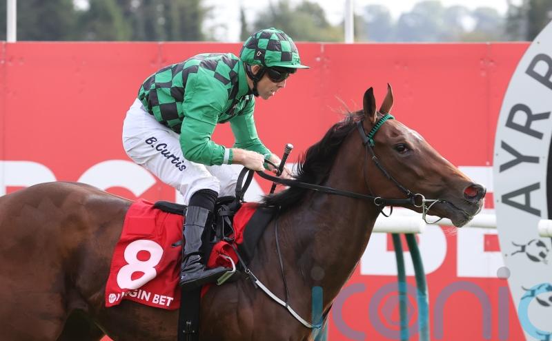 Prime Art paints a pretty picture for Murtagh and Curtis