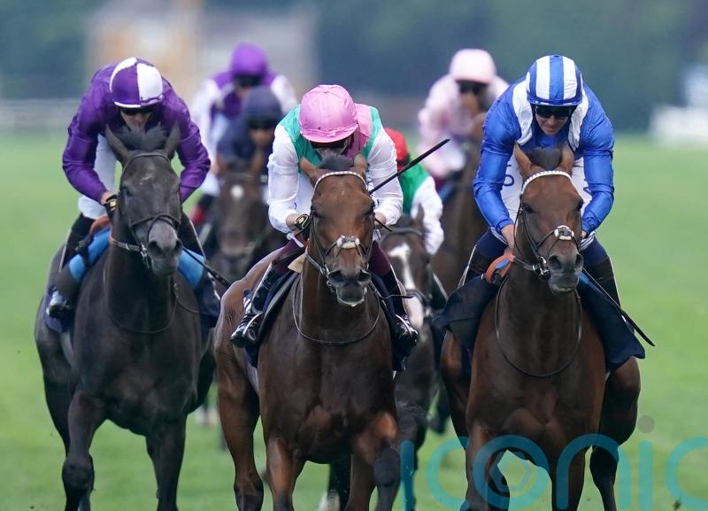 Ace Impact and Hukum headline 15 Arc contenders