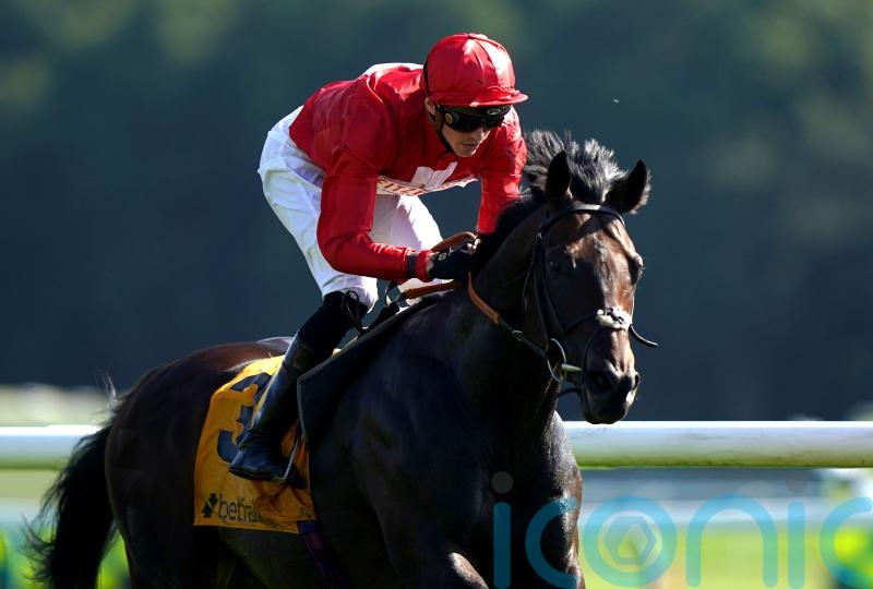 Chindit in top form for potential swansong at Newmarket