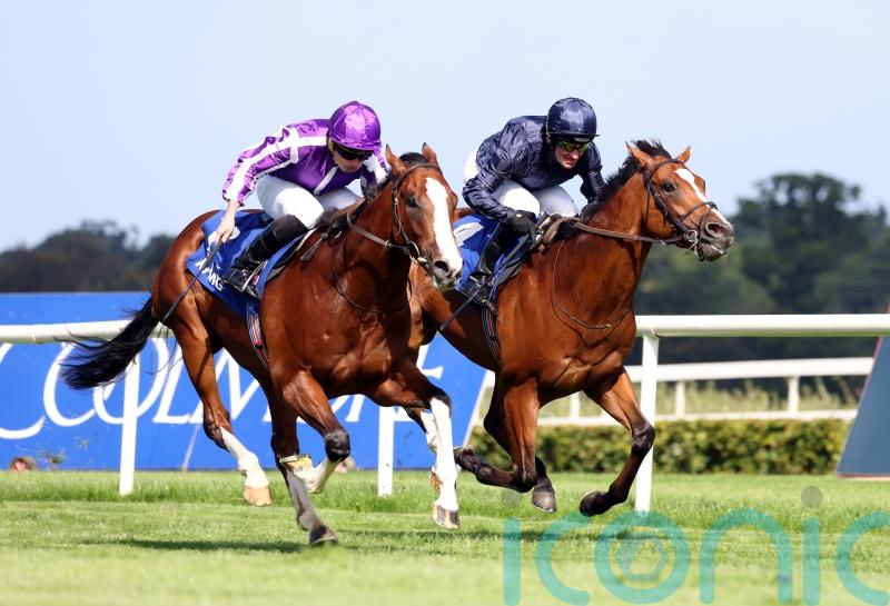 Moore and O&rsquo;Brien believe Capulet has solid Royal Lodge credentials