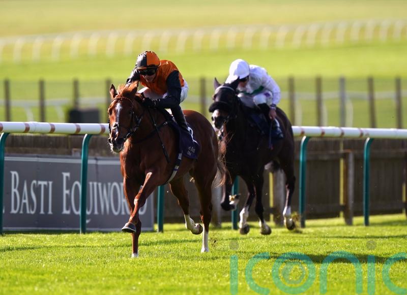 Carla&rsquo;s Way rocks at Newmarket to line up Breeders&rsquo; Cup bid