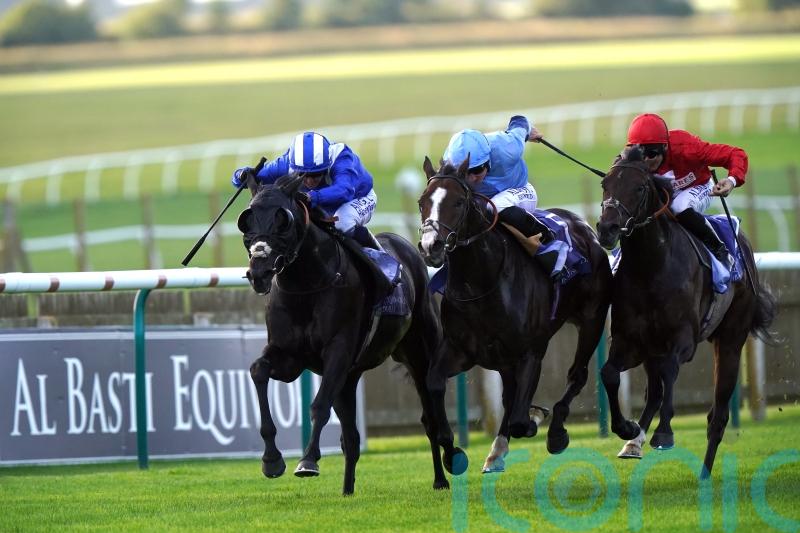 No place quite like Newmarket for Mutasaabeq