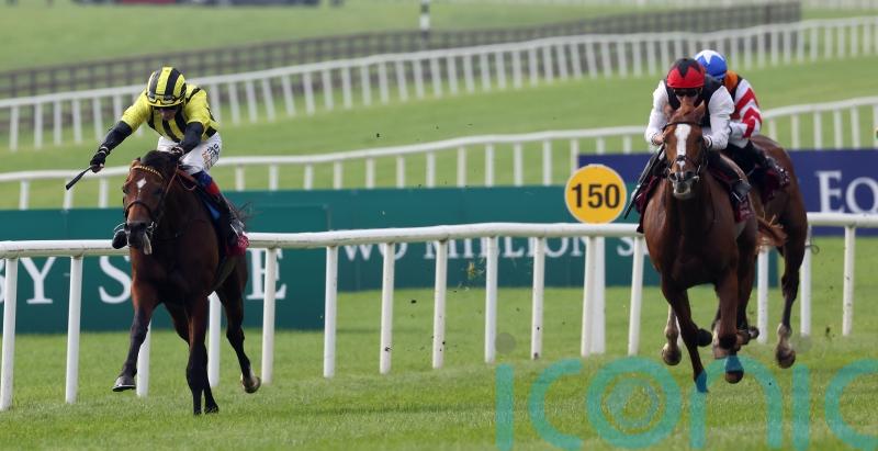 Eldar Eldarov set to bypass Champions Day option