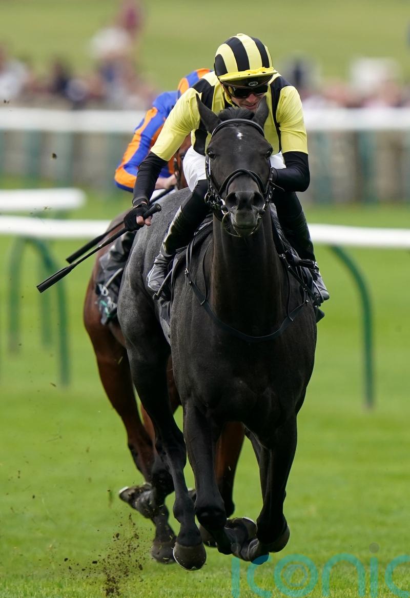 Dewhurst ruled out for Vandeek, with sprinting campaign next season