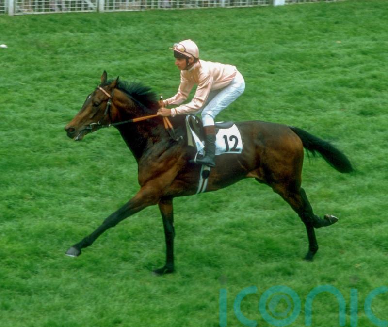 Steve Cauthen and Pebbles given Hall of Fame honours