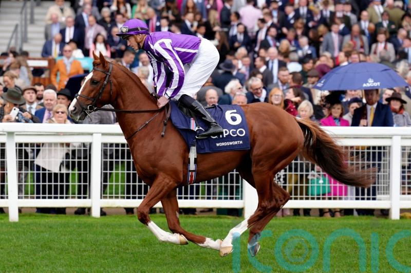 Classic-placed Wordsworth off the mark for Pipe over hurdles