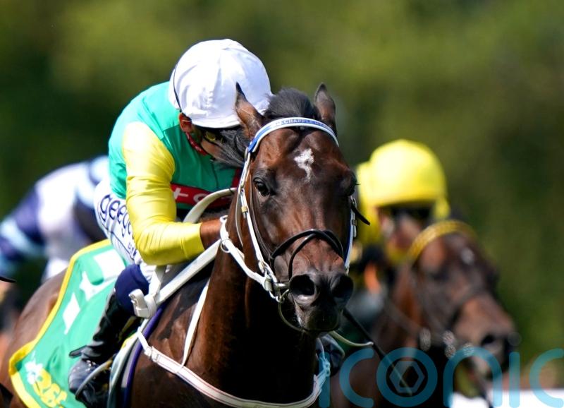 Mill Stream poised to take up Champions Sprint engagement