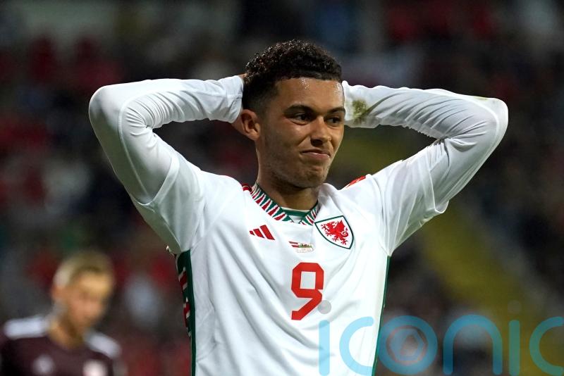 Brennan Johnson&rsquo;s &lsquo;safety and health&rsquo; a priority for Wales boss Rob Page