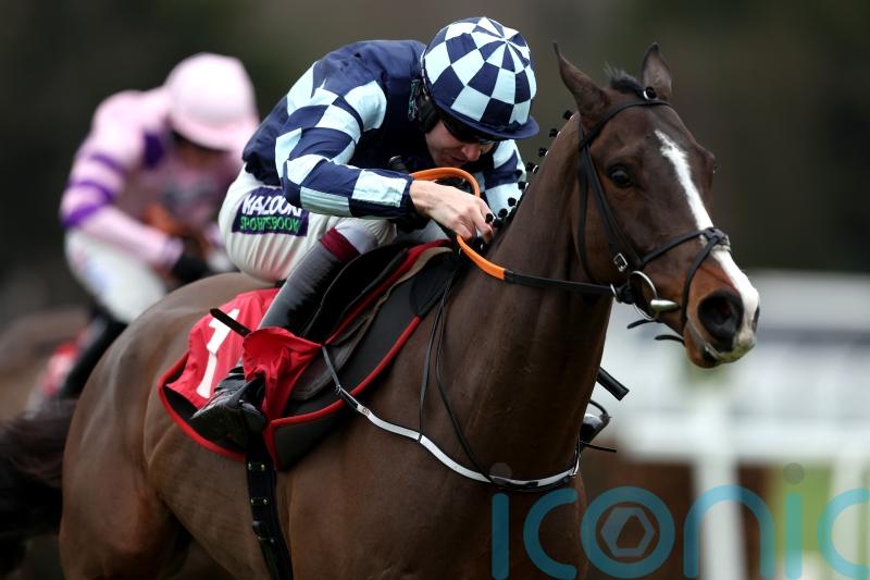 Chasing Fire makes ideal start over fences