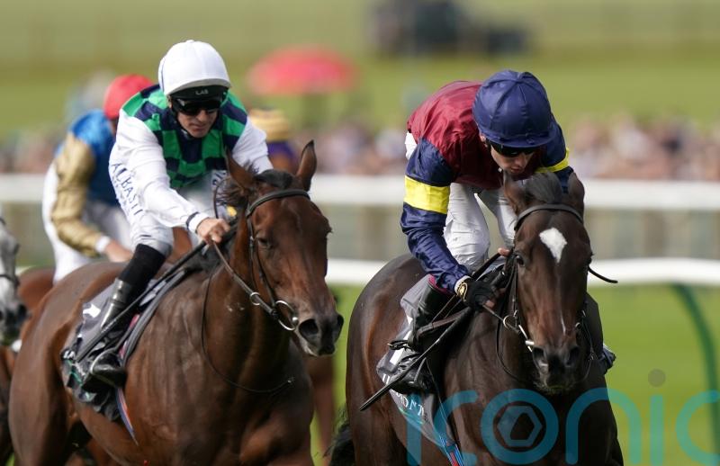 O&rsquo;Brien plotting Breeders&rsquo; Cup bid with Porta Fortuna