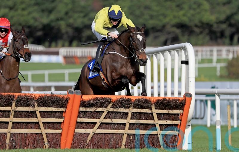 Tendon injury sidelines Good Land for the season