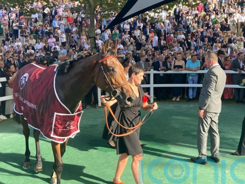 Arc hero Ace Impact retired to stud