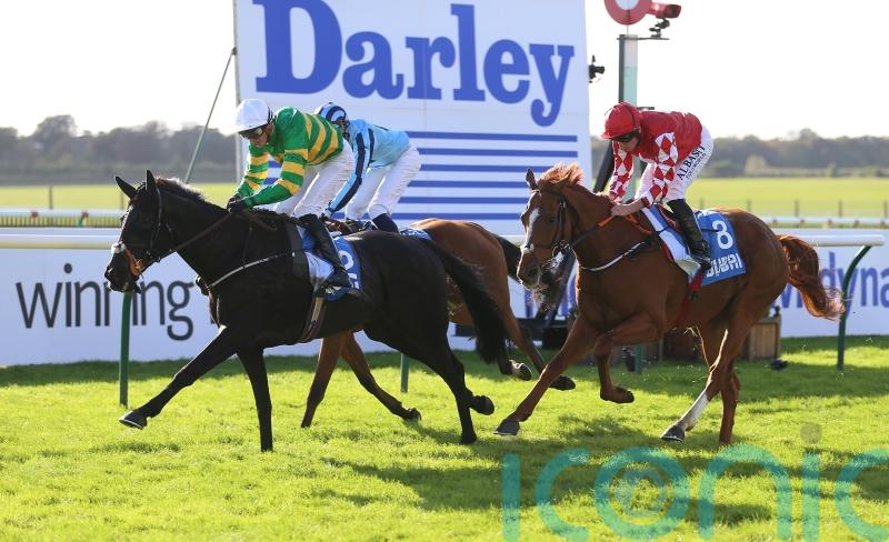 The Shunter realises long-term plan with Cesarewitch strike