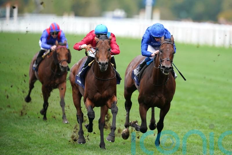 No going worries ahead of Bay Bridge Champion defence