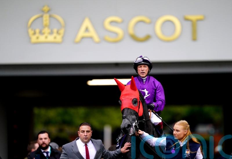 King Of Steel team taking watching brief on Santa Anita challenge
