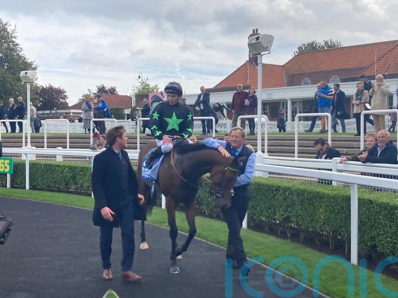 Inquisitively to skip overseas challenge in favour of winter break