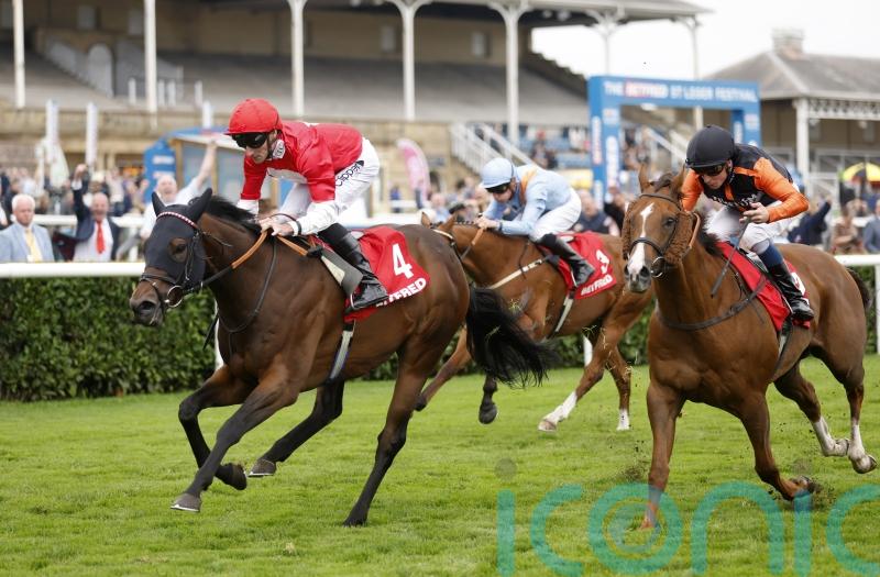 Big-money buy Rogue Lightning to return for 2024 sprint campaign