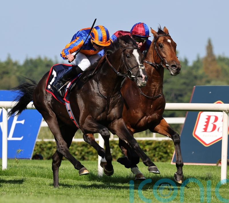 Auguste Rodin and Paddington primed for action in California