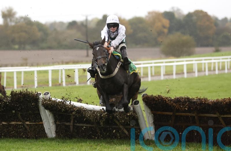 Mighty Quinn steers Botox Has to big win