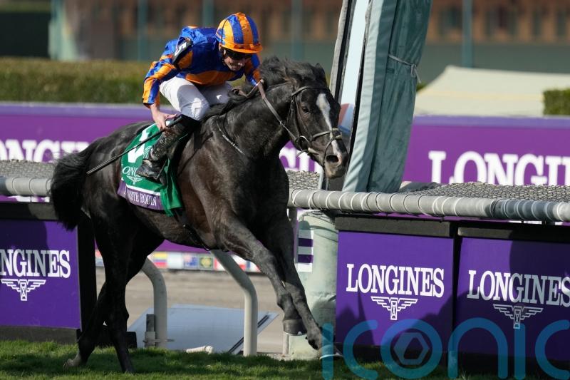 &lsquo;Dream horse&rsquo; Auguste Rodin roars to Breeders&rsquo; Cup Turf glory