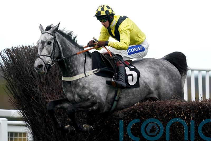 Elixir De Nutz takes home Haldon Gold for Tizzard team