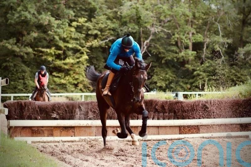 Il Est Francais books Kempton ticket with Auteuil victory