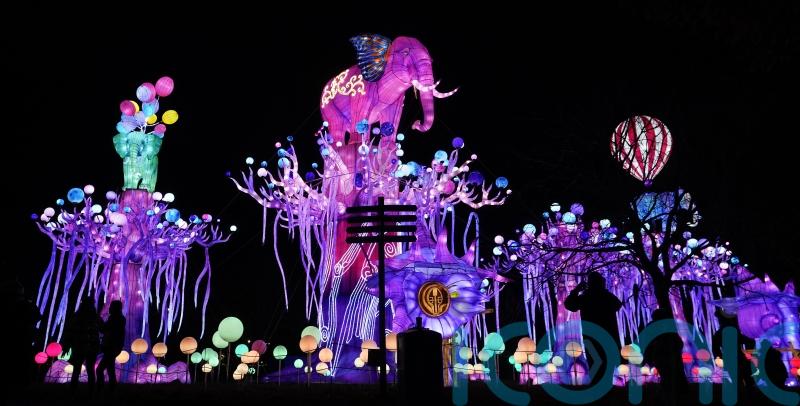 Enchanting display of colour at Dublin Zoo for Wild Lights spectacular