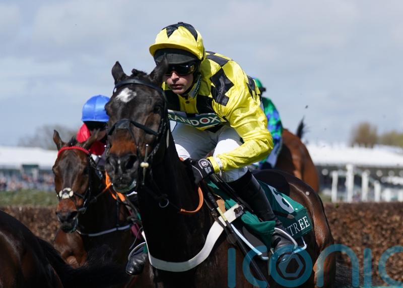 Henderson confirms Ascot preference for Shishkin