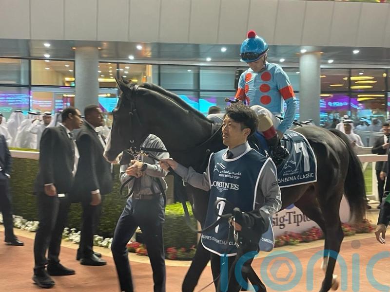 Equinox primed for Japan Cup clash with Liberty Island