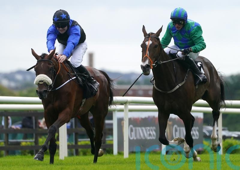 Fahey eyeing Festival handicaps with The Big Doyen