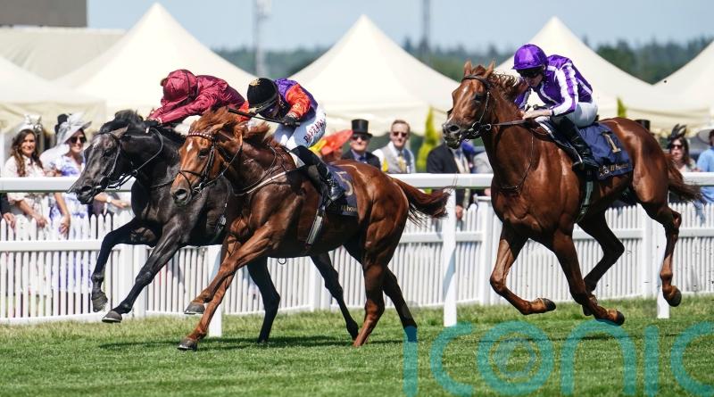 Australian adventure could come under consideration for Desert Hero