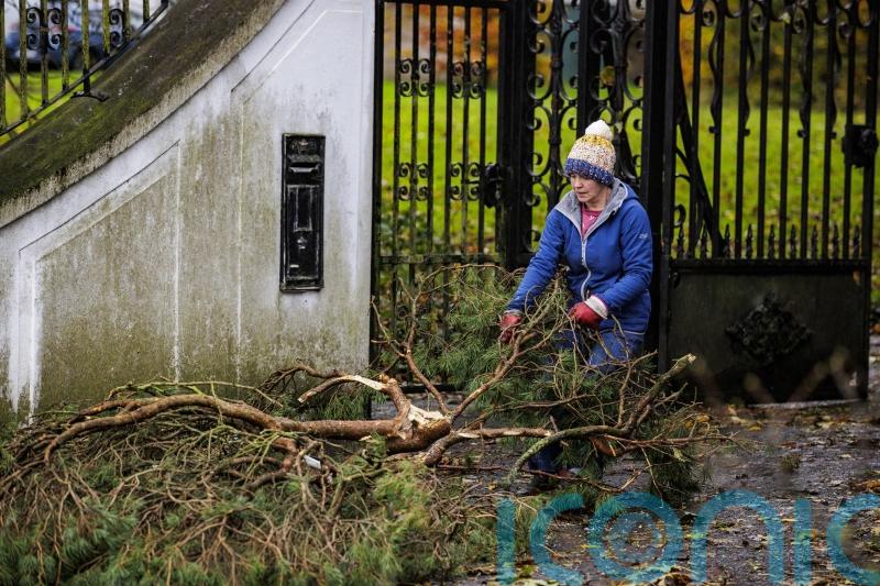 Storm Elin and Storm Fergus to bring gale force winds to Ireland