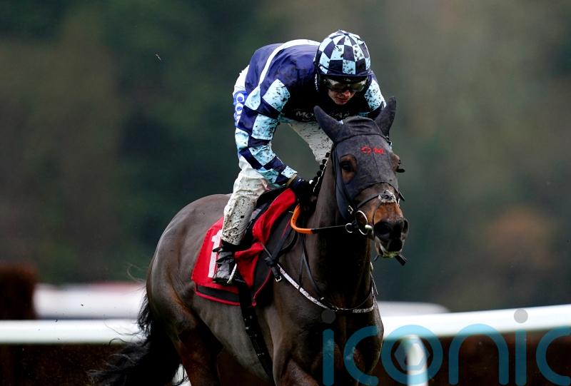 Bob boosts future prospects with Sandown success