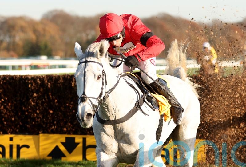 Skelton &lsquo;really happy&rsquo; with smart prospect Grey Dawning