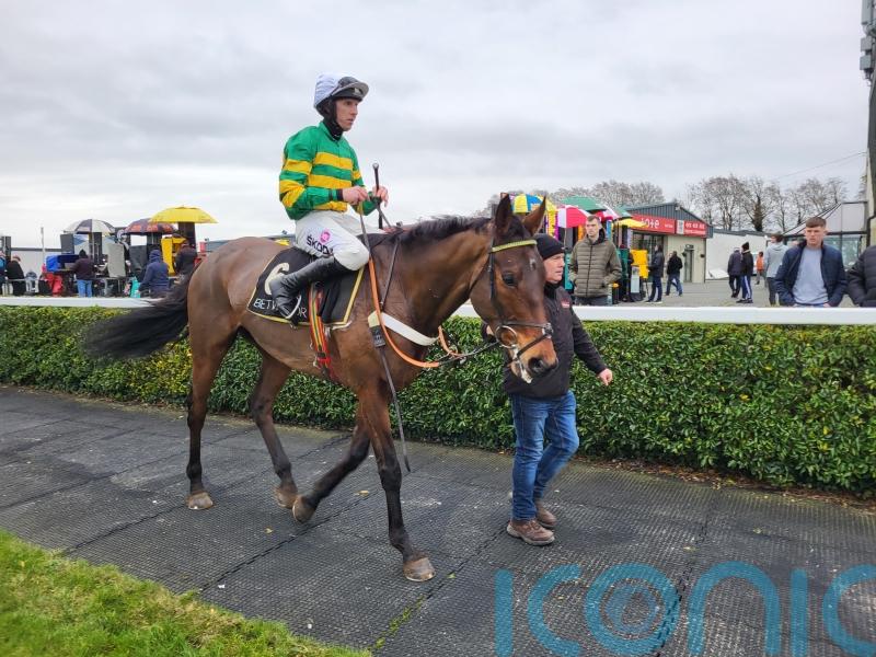 Harvard Guy proves top of the class in Tara Hurdle