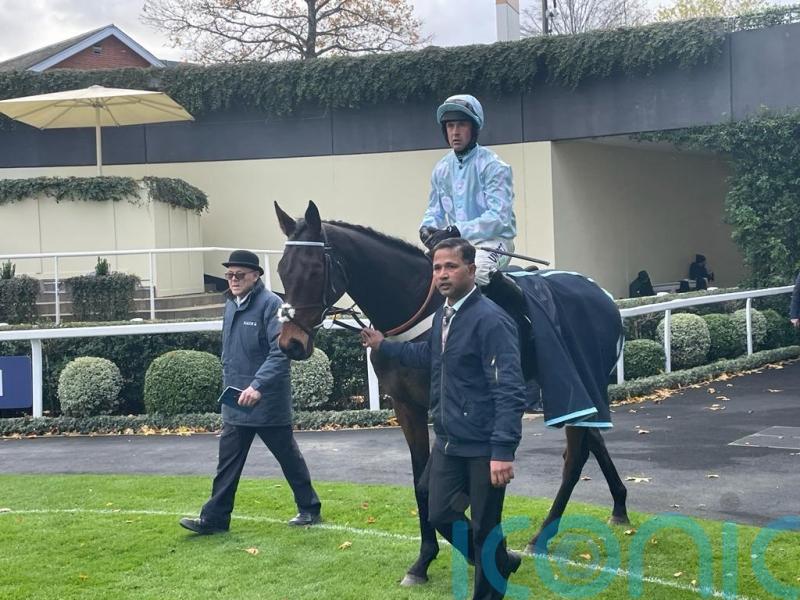 Doddiethegreat continues to delight after lengthy injury lay-off