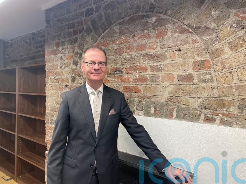 It is not our job to win the referendum for the government, says election tsar