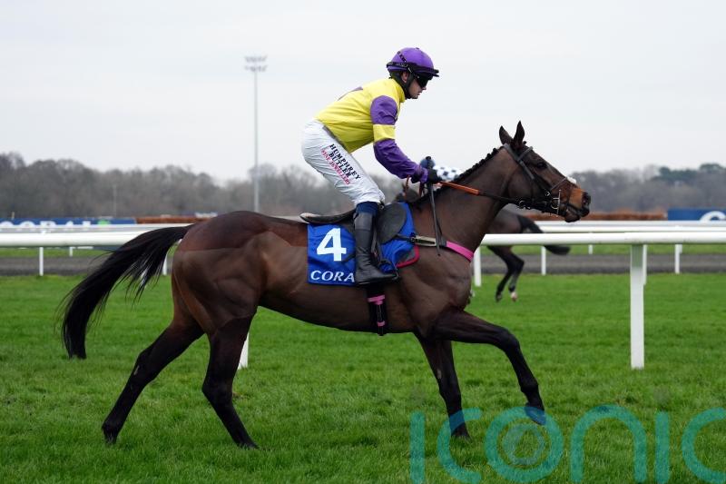 Kerry Lee planning to &lsquo;shop around&rsquo; for Nemean Lion aim