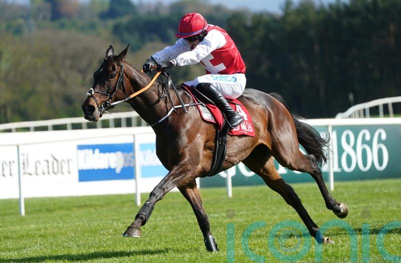 Sandor Clegane chasing first win over fences at Navan
