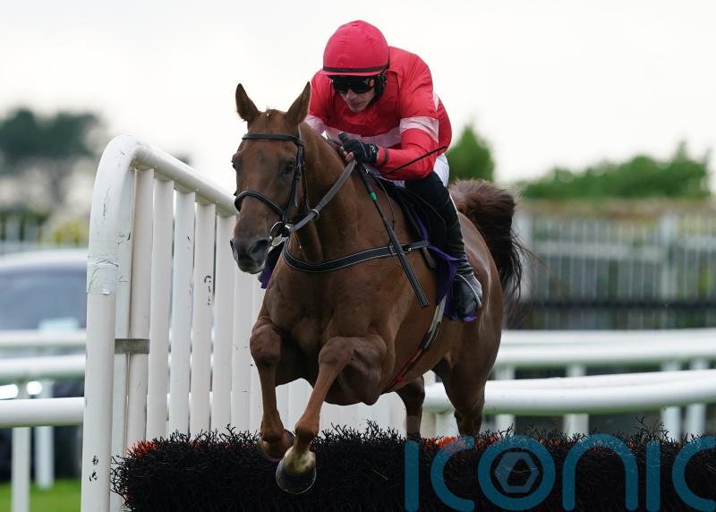 High Class Hero extends unbeaten record