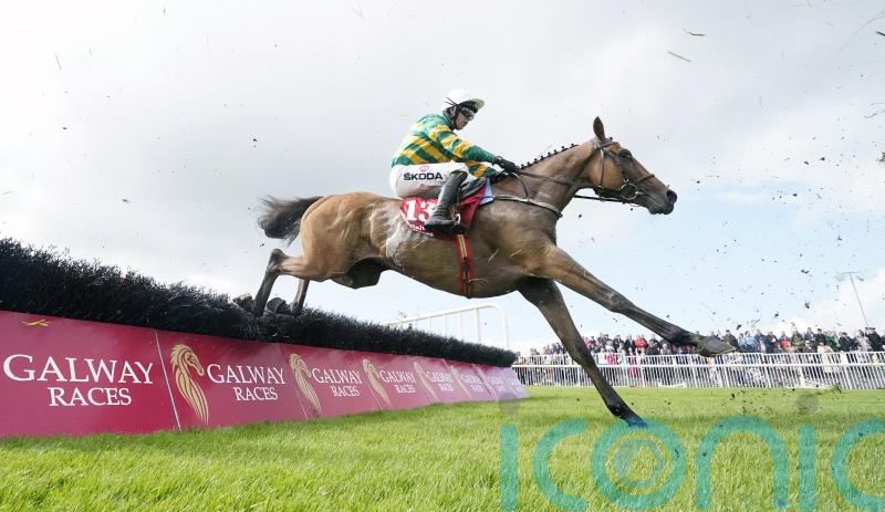 Power-packed Cheltenham novice entries revealed