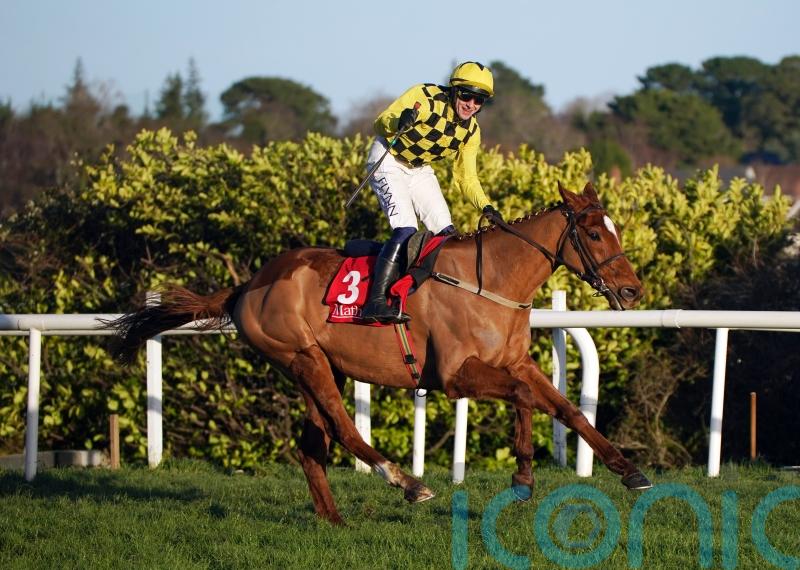 Townend confident State Man can shine again in Irish Champion